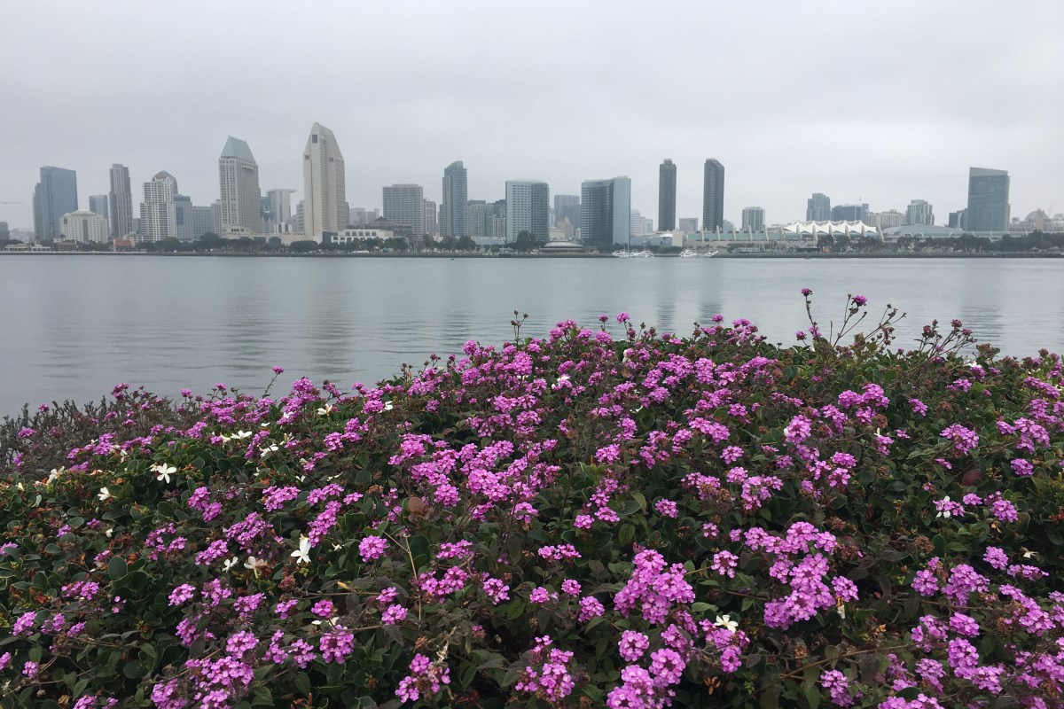 San Diego Skyline from Coronado Island | Teamtravelsblog