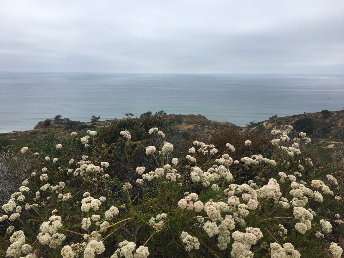 View of the Pacific Ocean | Teamtravelsblog