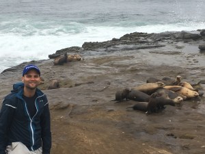Sea Lions | Teamtravelsblog