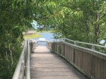 Life of the Marsh trail | teamtravelsblog