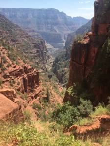 Grand Canyon 2