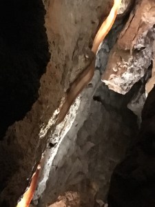 "Bacon" at Jewel Cave