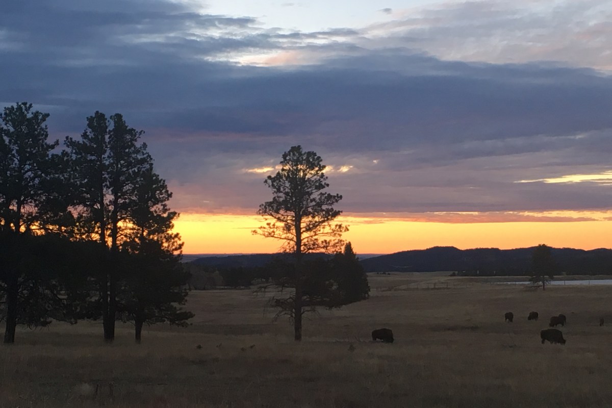 Sunrise at Custer State Park | Teamtravelsblog