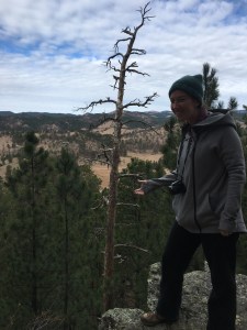 Rankin Ridge at Wind Cave National Park