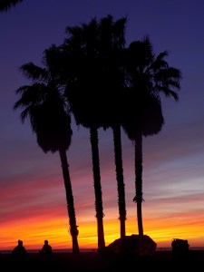 Venice Beach | Teamtravelsblog