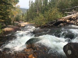 Alberta Falls in RMNP