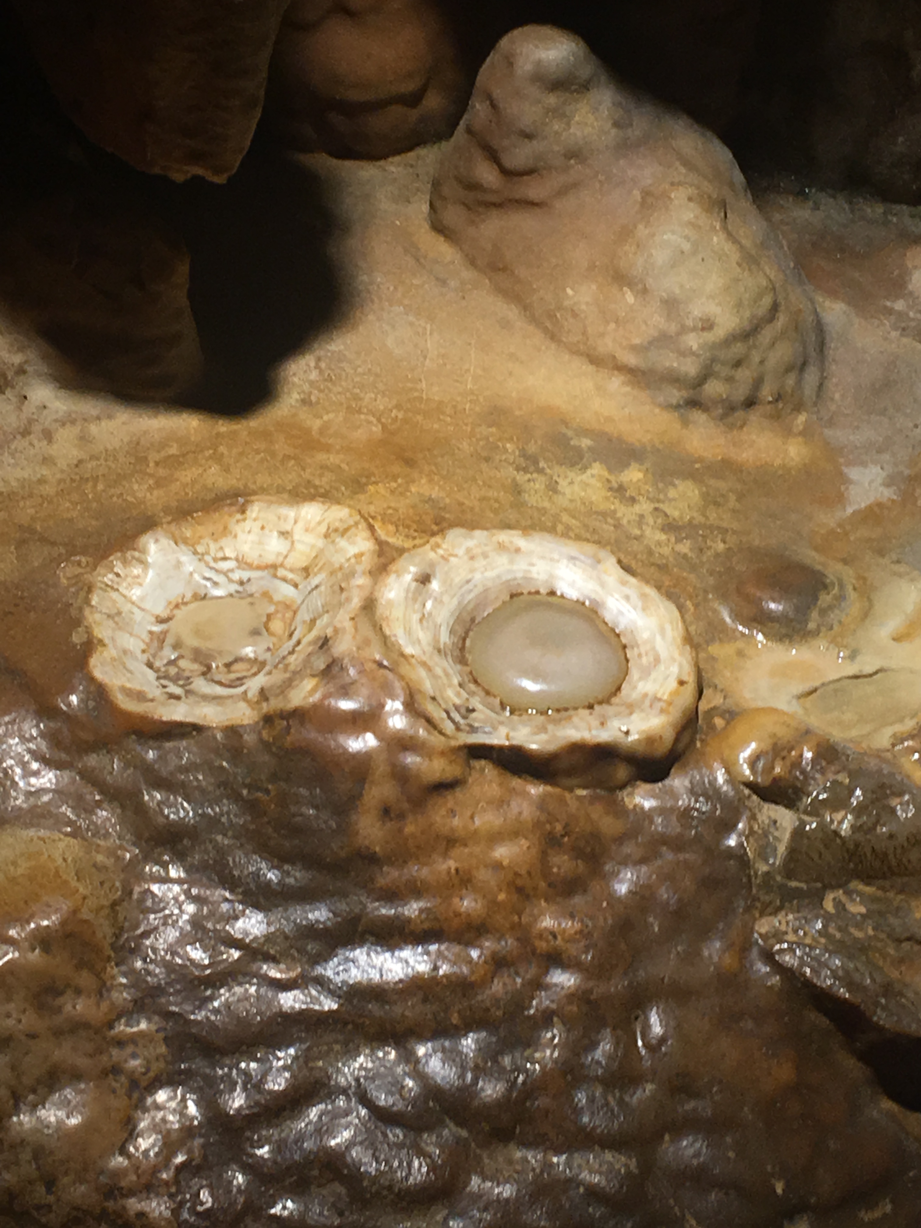 Fried Eggs at Luray Caverns | TeamTravelsBlog