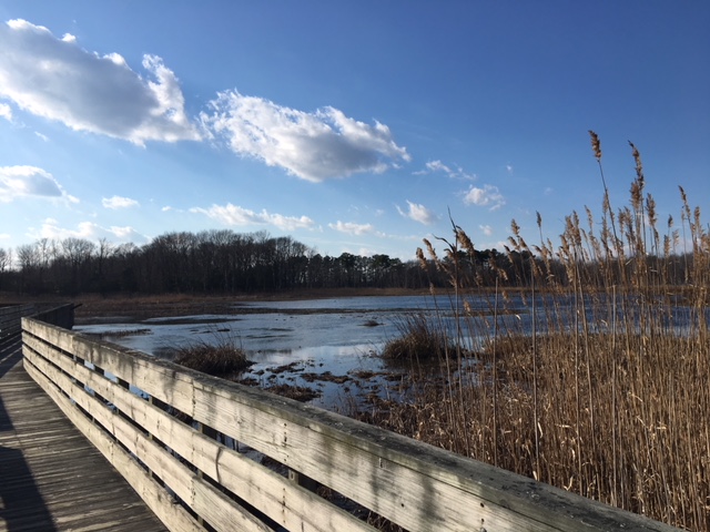 Boardwalk Trail | Teamtravelsbaby