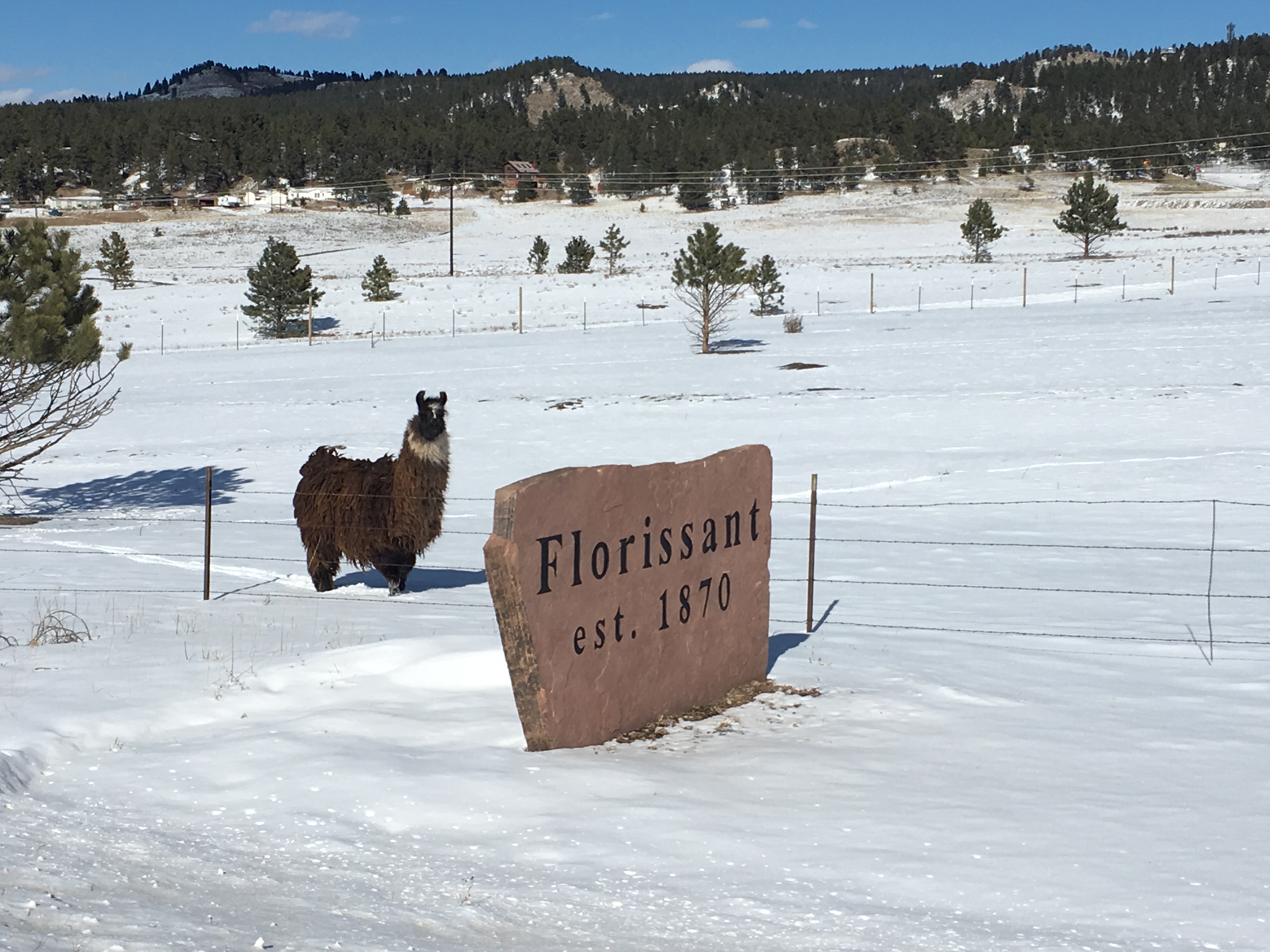 Florissant Fossil Beds